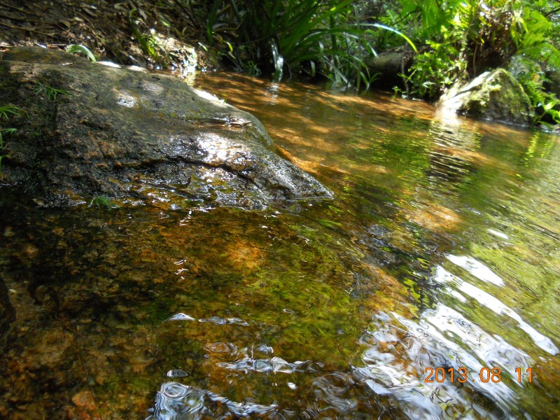 芙蓉王子山游记