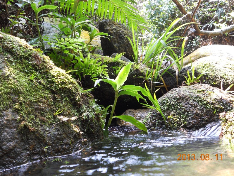 芙蓉王子山游记