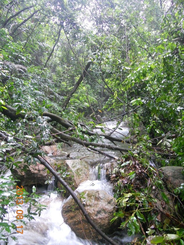 台风过后继续溯溪源