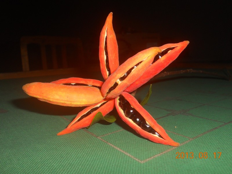 台风过后继续溯溪源