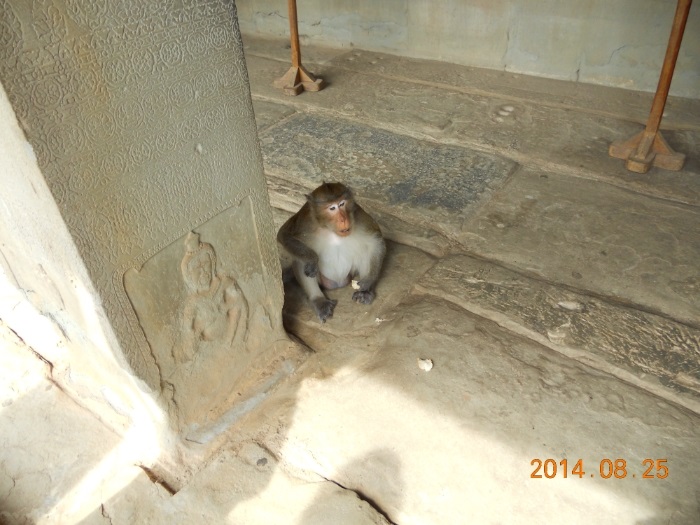 游吴哥寺