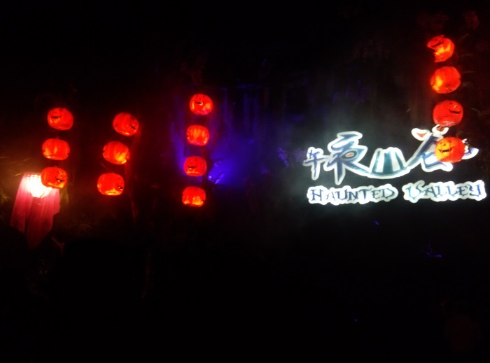 夜游长隆 夜游长隆