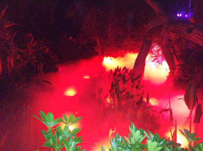 夜游长隆 夜游长隆