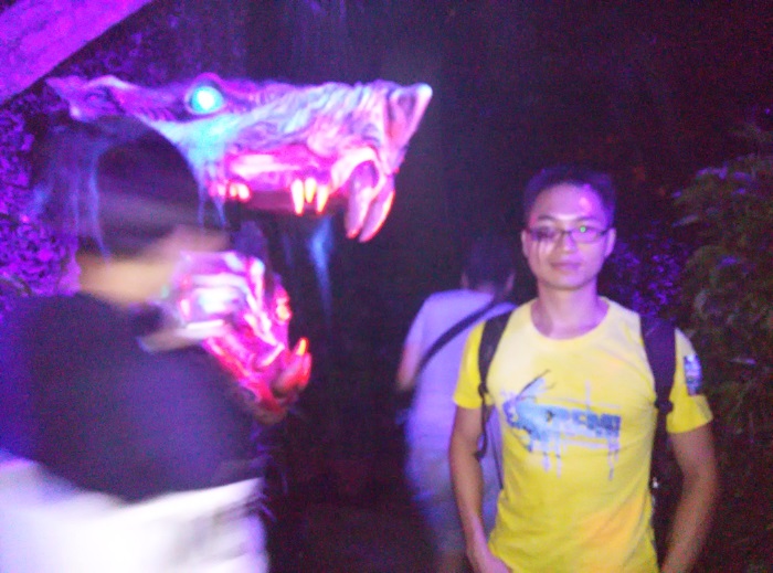 夜游长隆 夜游长隆