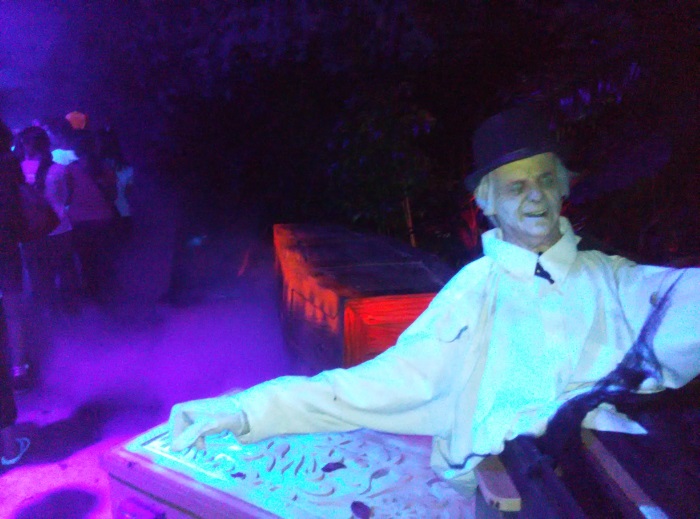 夜游长隆 夜游长隆