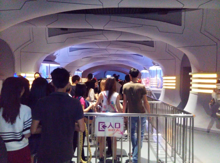 夜游长隆 夜游长隆