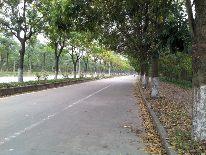 上班的路