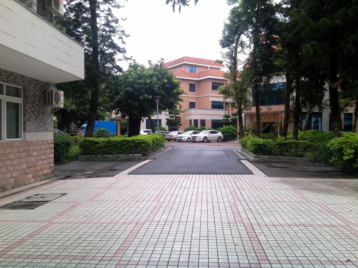 Conghua day tour