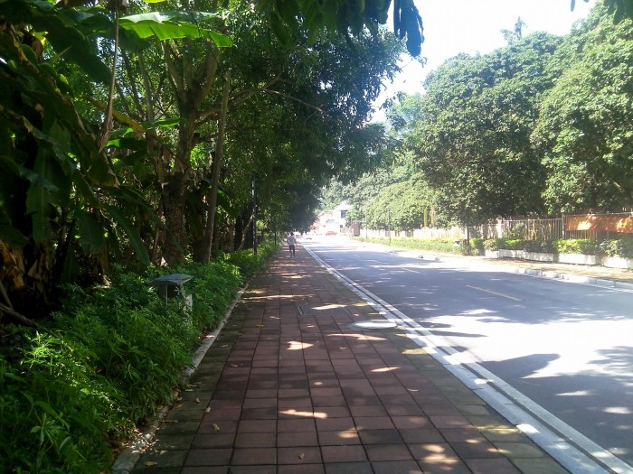 Conghua day tour