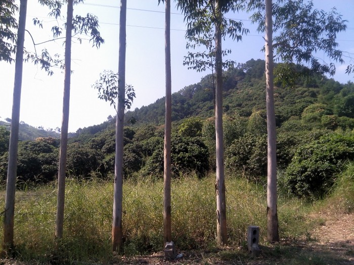 South of the Five Ridges scenery