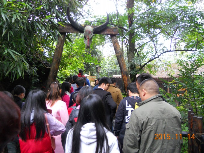 2015阳朔游
