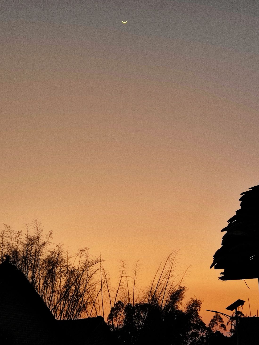 昭君网志： 20260221月星财神