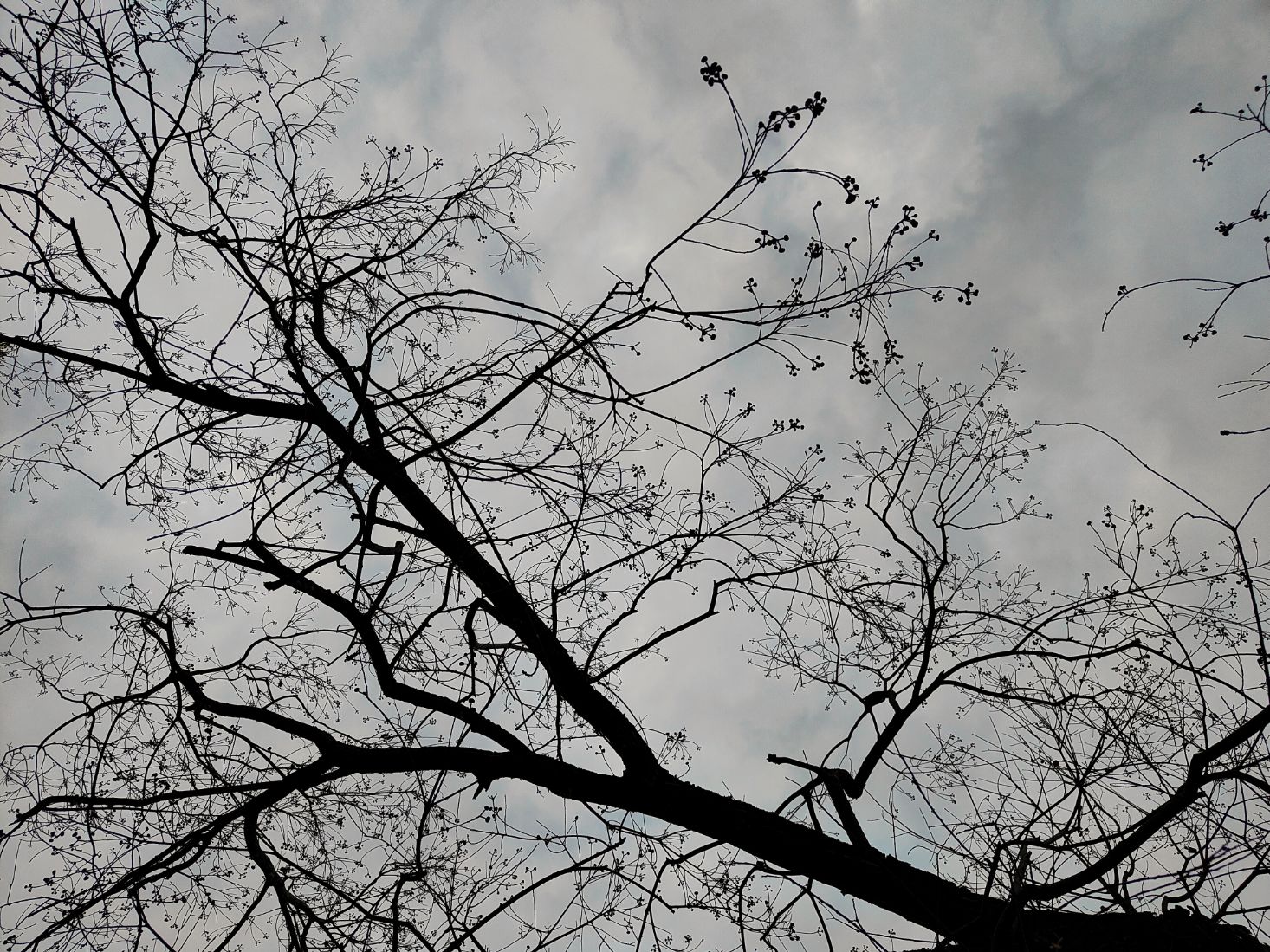 昭君网志： 20260222落广